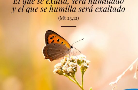 Pasapalabra | PORQUE EL QUE SE ENSALZA SERÁ HUMILLADO, Y EL QUE SE HUMILLA SERÁ ENSALZADO (Mt 23,12)