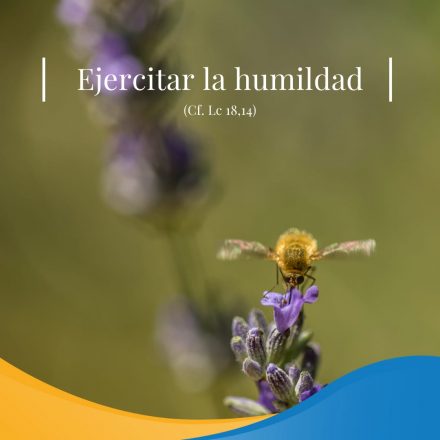 Pasapalabra | PRACTICAR LA HUMILDAD (Cf. Lc. 18,14)