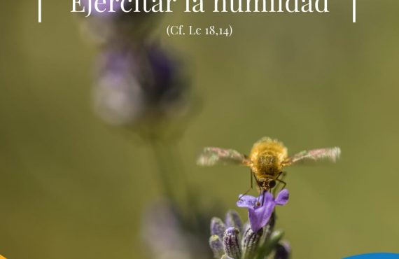 Pasapalabra | PRACTICAR LA HUMILDAD (Cf. Lc. 18,14)