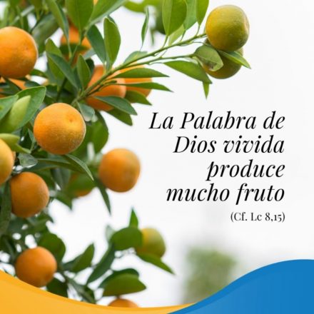 Pasapalabra | LA PALABRA DE DIOS VIVIDA PRODUCE MUCHO FRUTO (Cf. Lc 8,15)