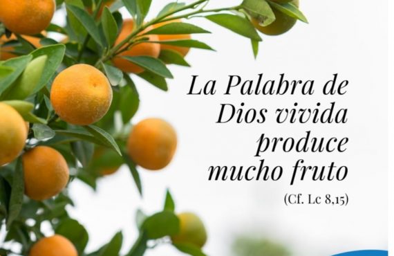 Pasapalabra | LA PALABRA DE DIOS VIVIDA PRODUCE MUCHO FRUTO (Cf. Lc 8,15)