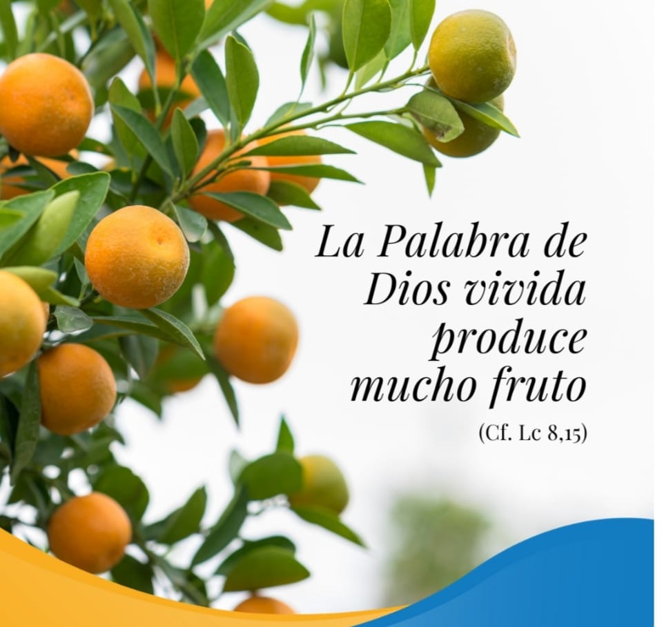Pasapalabra | LA PALABRA DE DIOS VIVIDA PRODUCE MUCHO FRUTO (Cf. Lc 8,15)