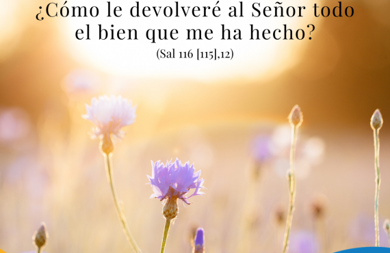 Pasapalabra | ¿CÓMO LE DEVOLVERÉ AL SEÑOR TODO EL BIEN QUE ME HA HECHO? (Sal 116 [115],12)