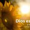 Pasapalabra | DIOS ES LUZ, Y EN ÉL NO HAY TINIEBLAS (1Jn 1,5).