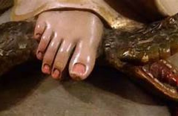 Maria  Custodia  de la Iglesia …combate a los enemigos de la Cruz