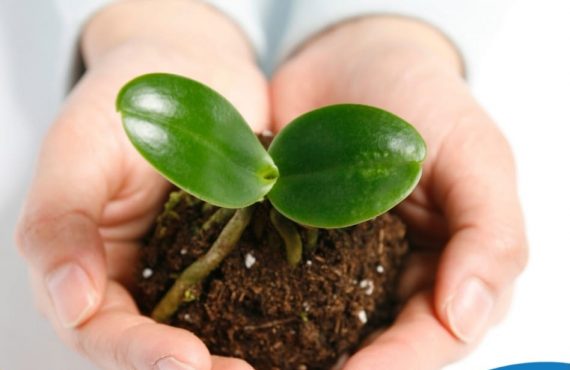 Pasapalabra | LLEVAR LA ESPERANZA A LOS DEMÁS.