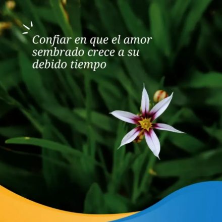 Pasapalabra | CONFIAR EN QUE EL AMOR SEMBRADO CRECE A SU DEBIDO TIEMPO.