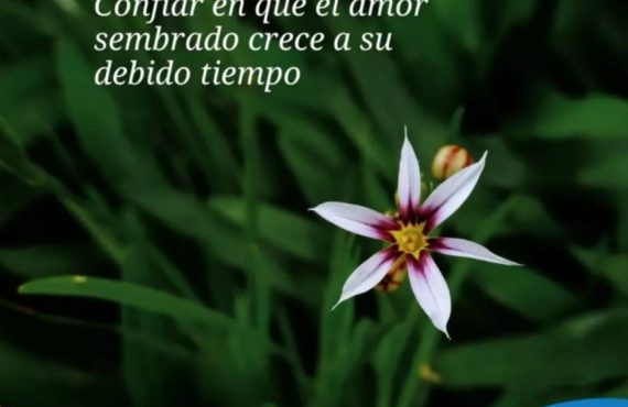 Pasapalabra | CONFIAR EN QUE EL AMOR SEMBRADO CRECE A SU DEBIDO TIEMPO.