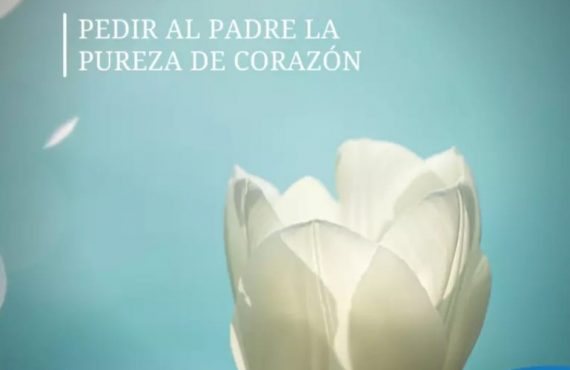 Pasapalabra | PEDIR AL PADRE LA PUREZA DE CORAZÓN.