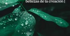 Pasapalabra | AGRADECERLE A DIOS LAS BELLEZAS DE LA CREACIÓN.