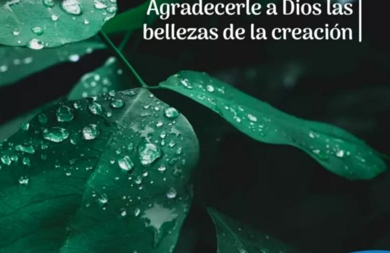 Pasapalabra | AGRADECERLE A DIOS LAS BELLEZAS DE LA CREACIÓN.