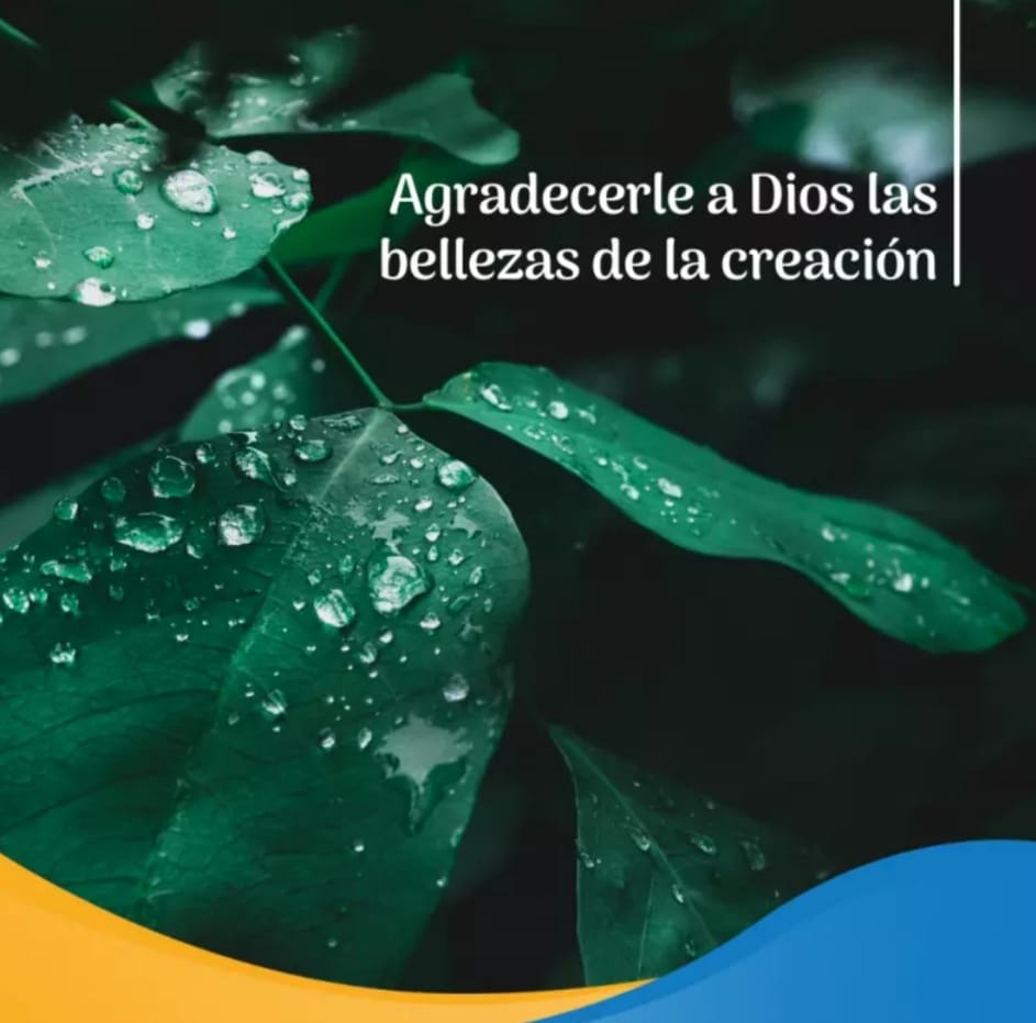 Pasapalabra | AGRADECERLE A DIOS LAS BELLEZAS DE LA CREACIÓN.