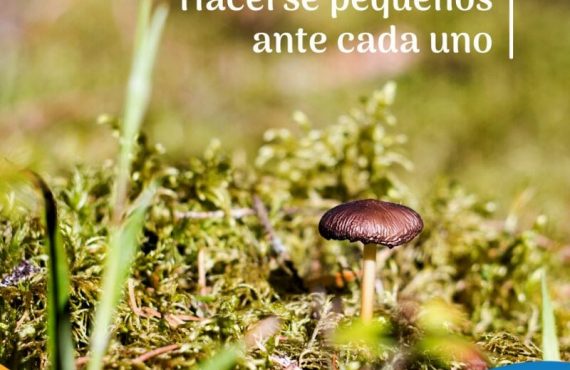 Pasapalabra | HACERSE PEQUEÑOS ANTE CADA UNO.