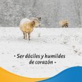 Pasapalabra | SER DÓCILES Y HUMILDES DE CORAZÓN