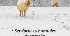 Pasapalabra | SER DÓCILES Y HUMILDES DE CORAZÓN
