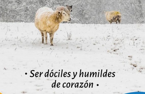 Pasapalabra | SER DÓCILES Y HUMILDES DE CORAZÓN