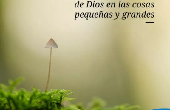 Pasapalabra | ABANDONARSE AL AMOR DE DIOS EN LAS COSAS PEQUEÑAS Y GRANDES